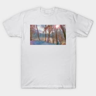 Winter Dream T-Shirt